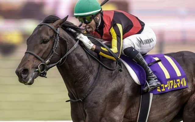 【セントライト記念見どころ】皐月賞馬ミュージアムマイルが登場