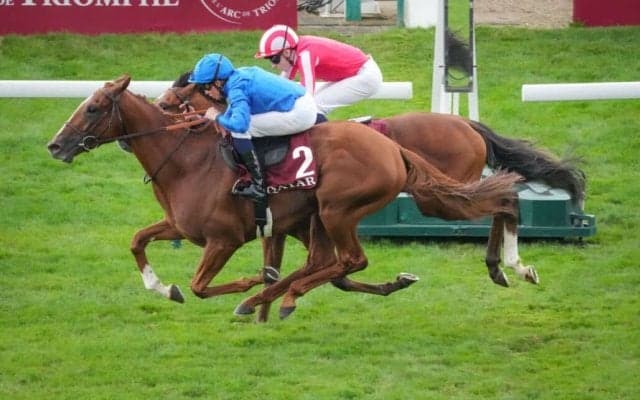 【仏ニエル賞】ゴドルフィンのクアリフィカー、窮地から突き抜ける末脚！凱旋門賞へ