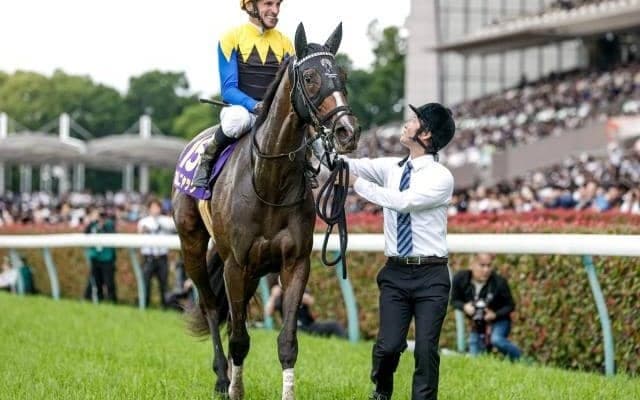 【ローズS想定騎手】カムニャックは川田将雅騎手、パラディレーヌは丹内祐次騎手