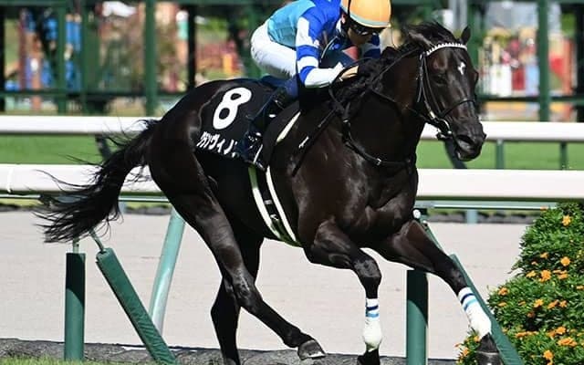 【チャレンジC想定騎手】グランヴィノスは川田将雅騎手、サブマリーナは武豊騎手