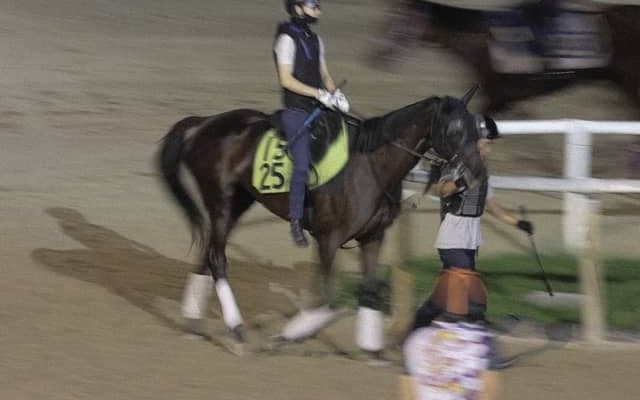 ジャンタルマンタルの半妹 ウンナターシャが仕切り直しの初陣へ/関西馬メイクデビュー情報