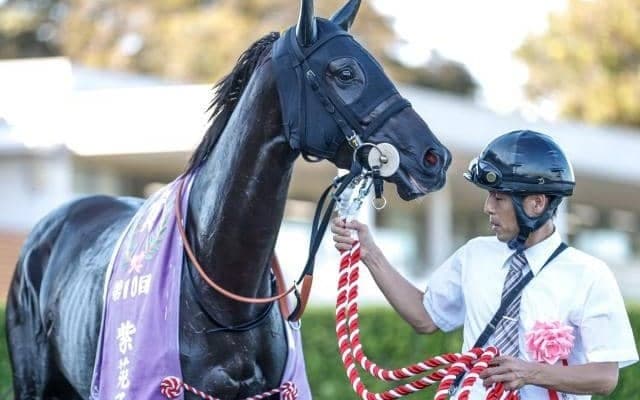 【紫苑S】売上は54億5859万6900円で昨年より12.5億円増加 今年から日曜日に実施
