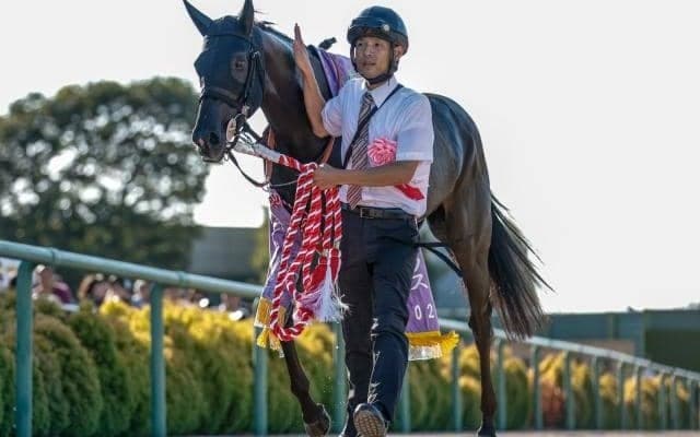 ドゥラメンテのラストクロップからまたも勝ち馬 血統で振り返る紫苑Sと札幌2歳S