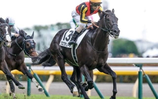 日本馬の凱旋門賞単勝オッズは？ 英ブックメーカーでの数字を紹介