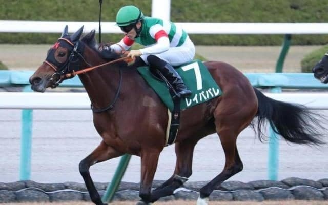 無傷5連勝での戴冠 レイパパレが制したチャレンジCから5年