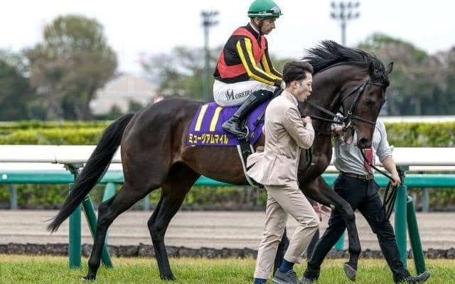 【セントライト記念予想オッズ】ミュージアムマイルが予想1番人気