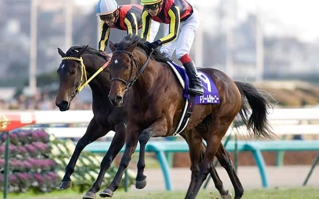 チャレンジCが今年から9月に 過去の同時期開催からGIを勝った名馬たち