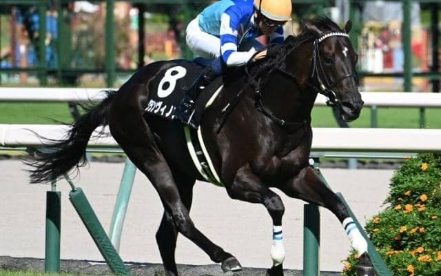 【チャレンジC予想オッズ】グランヴィノスが予想1番人気