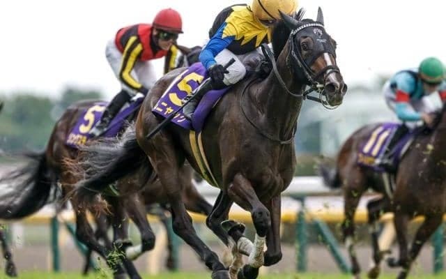 【ローズS予想オッズ】カムニャックが予想1番人気