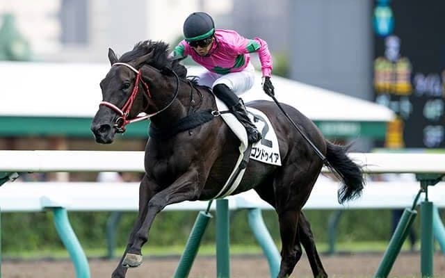 【ローズS】今年開業の井上智史調教師 コンドゥイアで重賞初制覇狙う