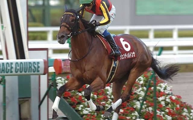 ローズSと秋華賞を制した12年ジェンティルドンナ 今年は13年ぶりに連勝する馬が現れるか 