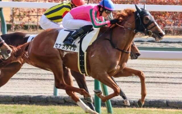 【ローズS】母はヌーヴォレコルト セナスタイルがレース史上初の母仔制覇狙う