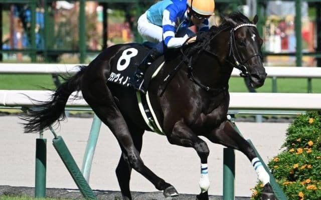 【チャレンジC出走馬・騎手確定】グランヴィノス＆川田将雅騎手、サブマリーナ＆武豊騎手など15頭