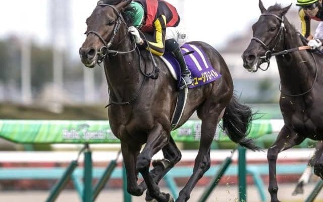 【セントライト記念出走馬・騎手確定】ミュージアムマイル＆戸崎圭太騎手、サクラファレル＆藤岡佑介騎手など12頭