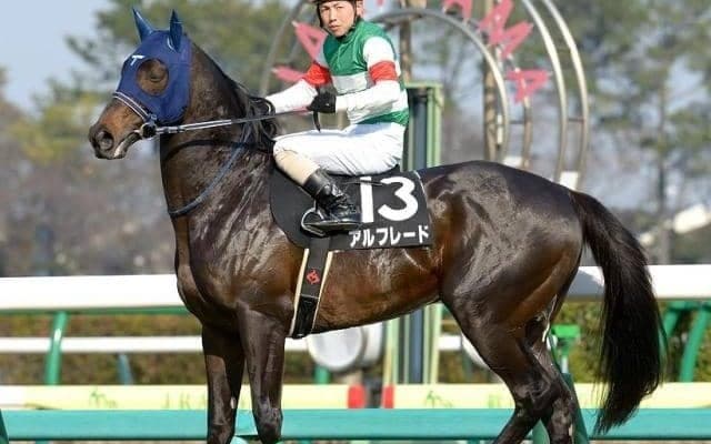 「セルフハンマー」でSNSにて話題 GI馬の半妹タワワが注目のデビュー戦