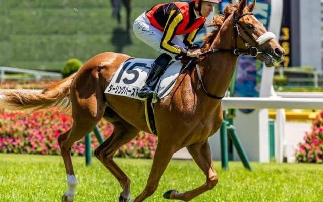 半兄はダート王のフォーエバーヤング ダーリングハーストが2戦目で決めるか