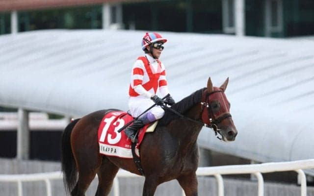 【武豊日記】馬たちはよく頑張っている