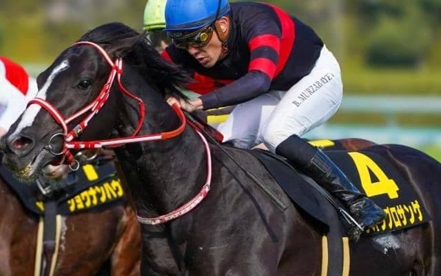 【チャレンジC】セレクト4.1億円のホウオウプロサンゲ 史上最高価格の重賞勝ち馬となるか