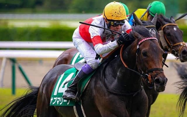 今週の武豊騎手は17鞍 サブマリーナでチャレンジCの3元号制覇なるか