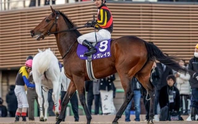 【オールカマー想定馬・騎手】レガレイラ、ヨーホーレイクなど11頭