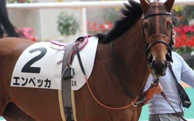 半姉はオークス馬のシンハライト エンベッカが距離延長で初勝利なるか