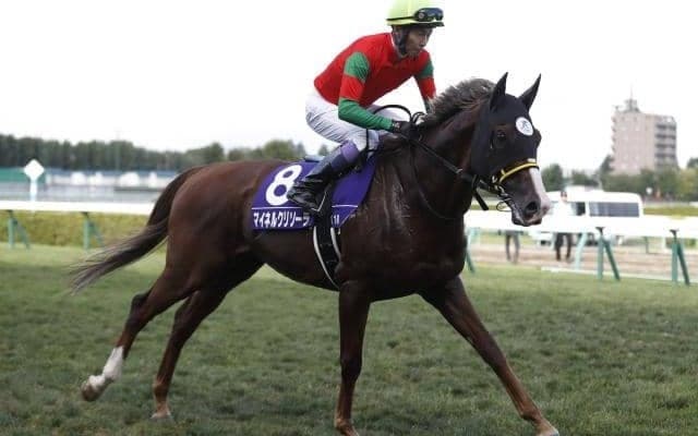 【チャレンジC予想】今年から9月開催＆ハンデキャップに生まれ変わった一戦