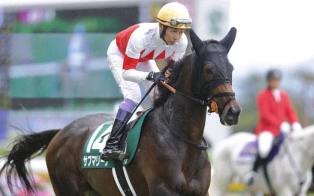 武豊騎手 今週の騎乗馬…チャレンジCはサブマリーナとのコンビ