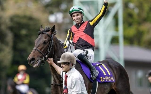 【セントライト記念枠順確定】ミュージアムマイルは5枠6番、レッドバンデは6枠8番