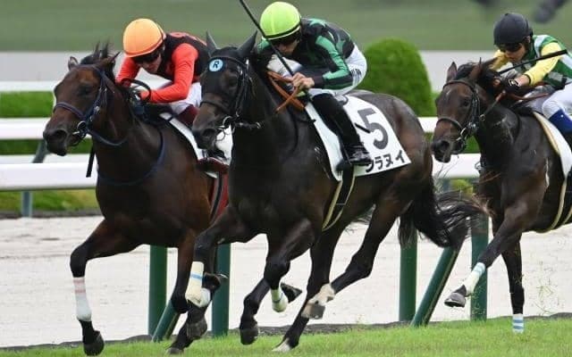 【阪神5R新馬戦結果】フィレンツェファイア産駒シラヌイが差し切り勝ち