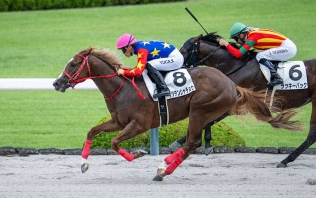 【阪神2R】断然人気イダテンシャチョウが初勝利