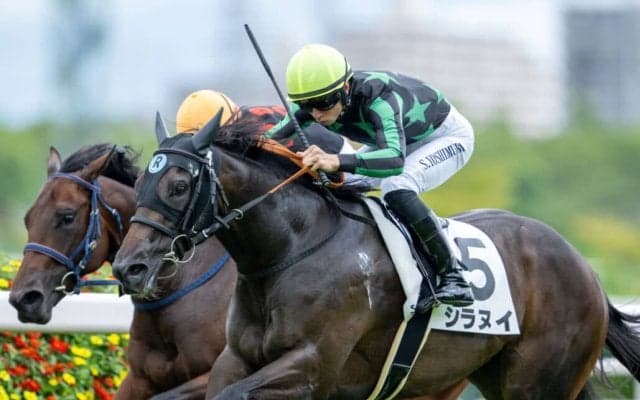【新馬/阪神5R】シラヌイがデビューV…タワワの小崎綾也騎手は騎乗停止処分