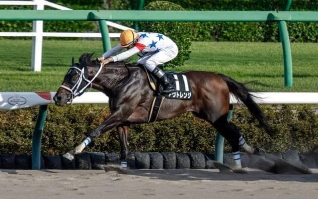 隠れた出世レースが距離短縮 ラジオ日本賞は今年からダ1200m戦に