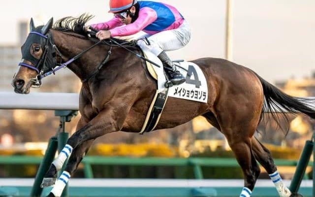 中山芝はディープ系が好調 御宿特別はメイショウヨゾラを信頼