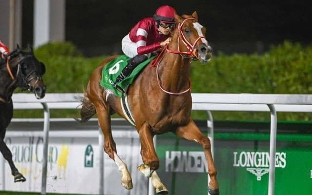 【アイリッシュチャンピオンS結果】シンエンペラーは6着 3歳馬ドラクロワが完勝でG1・2勝目