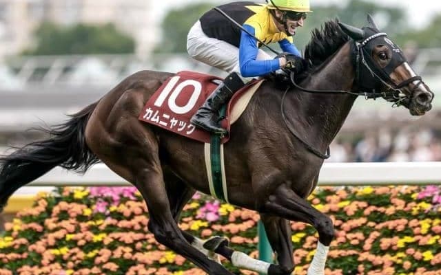 【今日の注目ポイント】ローズSでオークス馬カムニャックが始動