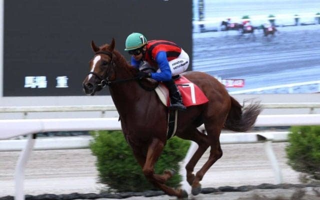 【高知・堆金菊特別】サンフラワームーンが逃げ粘りV…重賞挑戦へ視界良好