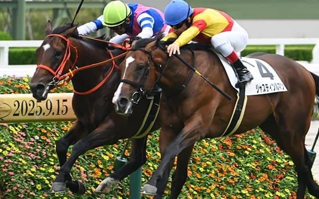 【阪神5R新馬戦結果】ハービンジャー産駒ブルースカイブルーが接戦を制す