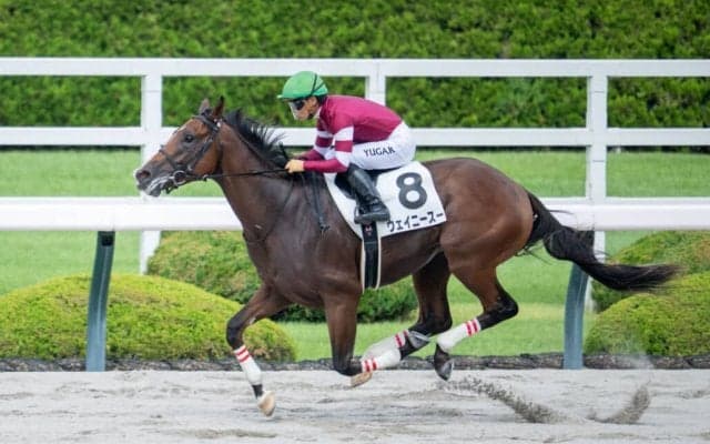 【新馬/阪神6R】単勝1.7倍ウェイニースーが7馬身差デビューV…ウマ娘・藤田晋氏所有馬