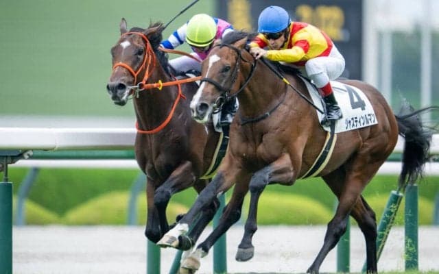 【新馬/阪神5R】ハービンジャー産駒 ブルースカイブルーがハナ差V