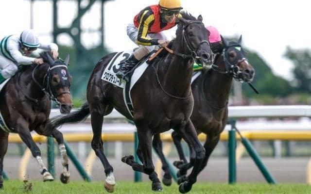 【仏・プランスドランジュ賞結果】クロワデュノールが海外重賞初制覇！ 凱旋門賞へ好発進！