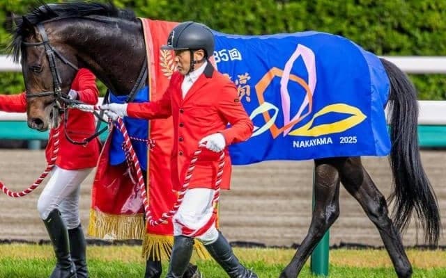 【今日の注目ポイント】セントライト記念で皐月賞馬ミュージアムマイルが始動