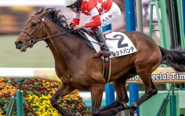 【セントライト記念予想】過去10年間で上がり最速馬が6勝 瞬発力と長く使える末脚がポイントに