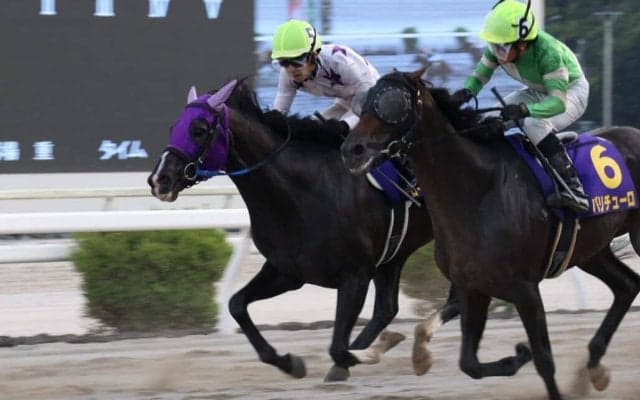 【高知・建依別賞】ロードインファイト、バリチューロとの激闘を制す！ハナ差決着