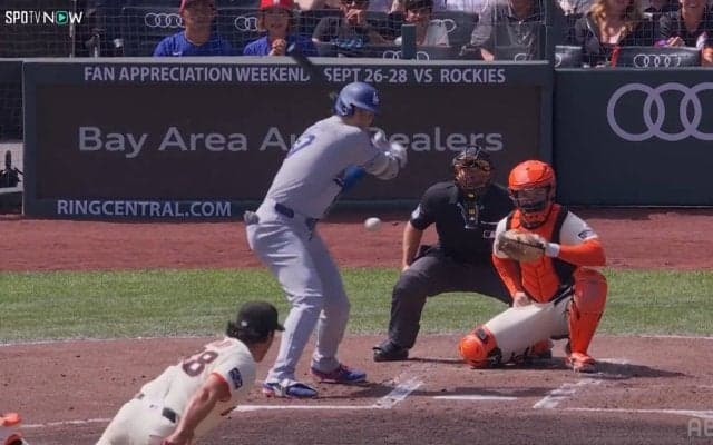 スプラッシュヒット争奪戦にアシカも参戦！？大谷翔平、キャリアハイ135得点マークの試合に現れた“珍客”「ホームラン待ってるｗ」