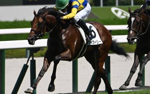 【阪神5R新馬戦結果】モズアスコット産駒アイガーリーが逃げ切り新馬勝ち