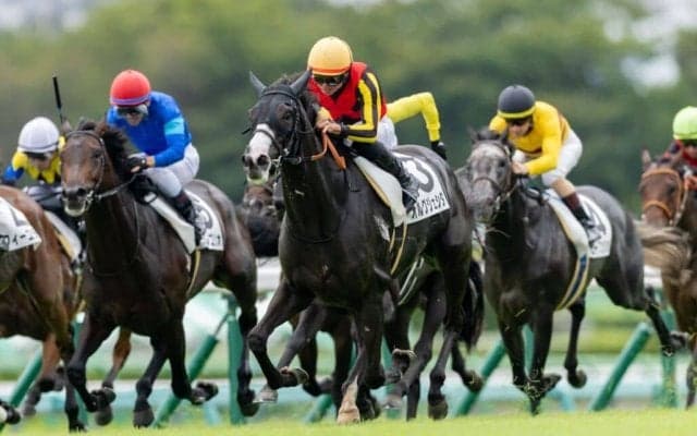 【中山4R】モーリス産駒 オルグジェシダが惜敗に終止符