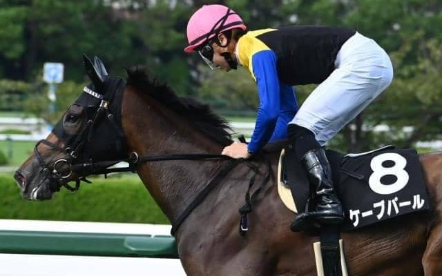 【JRA・WIN5】本日のWIN5は的中2633票、配当23万8220円