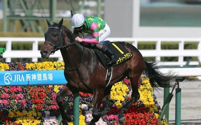 【競馬予想】堅い決着が多いセントライト記念だが、今年は人気の盲点となっている穴馬候補が２頭いる