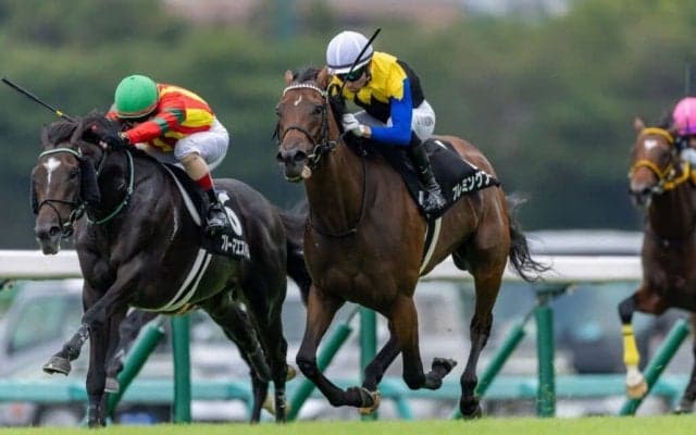 【Mディープインパクト】フレミングフープ差し切りV…モレイラ本日の3勝目