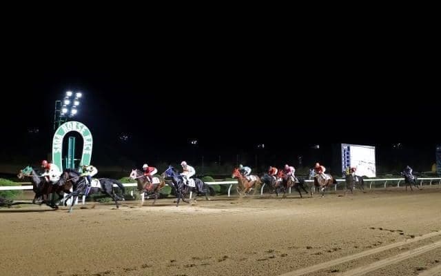 【佐賀・九州ジュニアチャンピオン結果】サキドリトッケンが競り合いを制して重賞初V